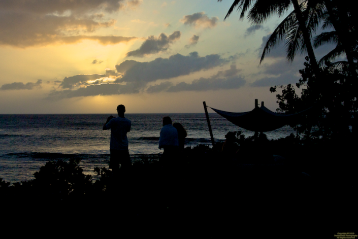 Watching turtles at sunset