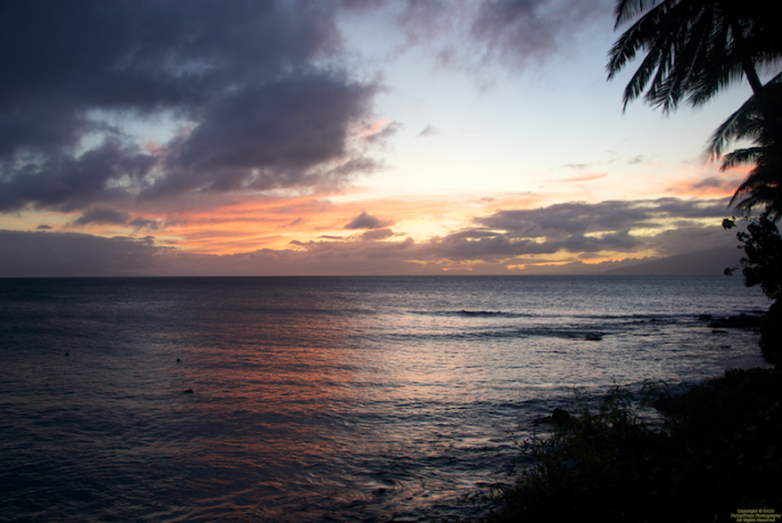 Sunset from the lawn