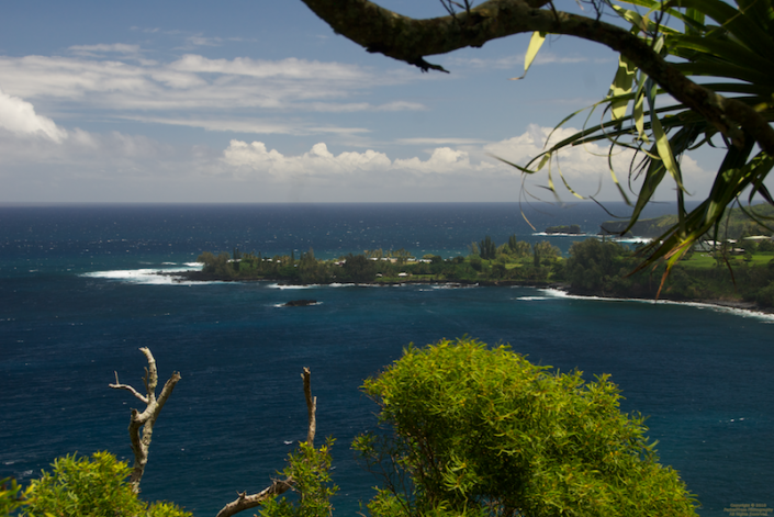 On the road to Hana