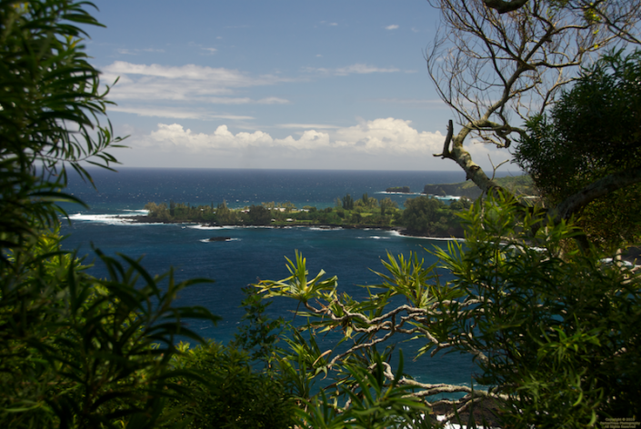 On the road to Hana