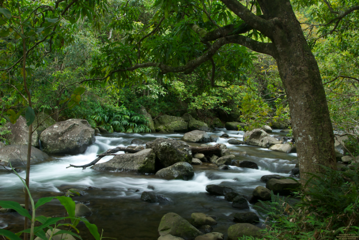 River at the Iao Needle