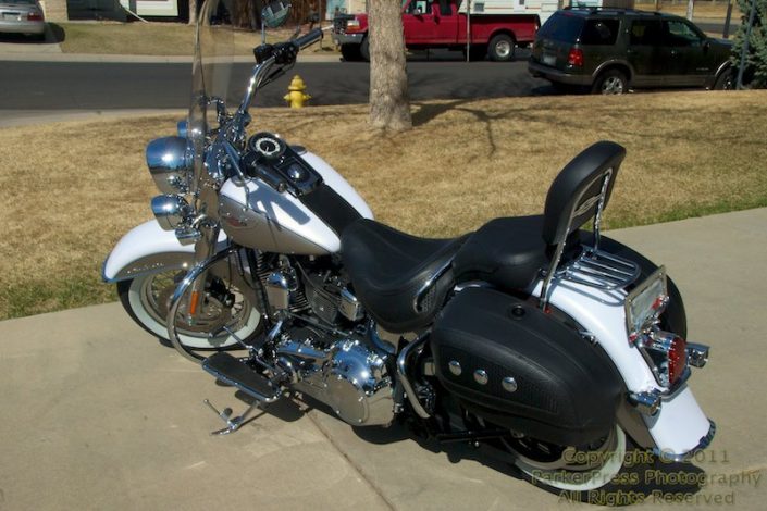New Harley FLSTN