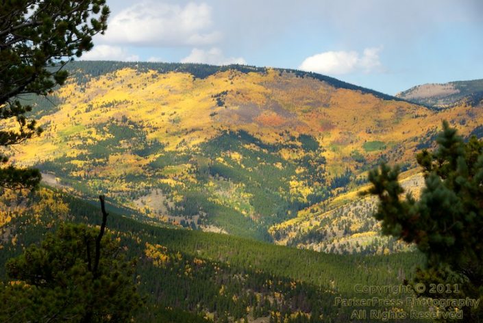 From Mount Evans road, looking west