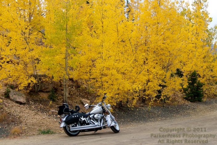 Taking the Softail out for a Fall Colors trip