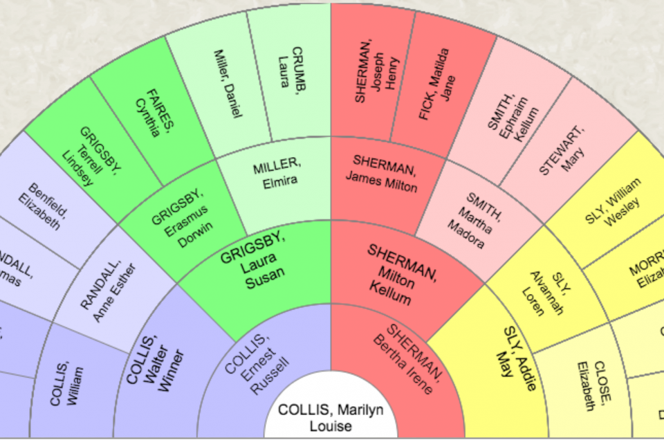 Fan Chart